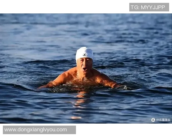 泳池明星崛起：从训练到赛场的辉煌历程与背后故事揭秘