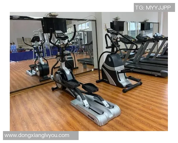 练体型健身器材推荐