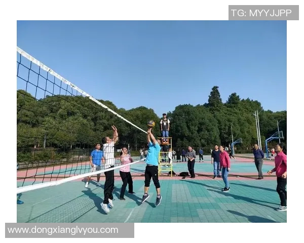 上海排球队最新排球意识排名第一引领潮流TOP10分析 上海排球队最新排球意识排名第一引领潮流TOP10分析