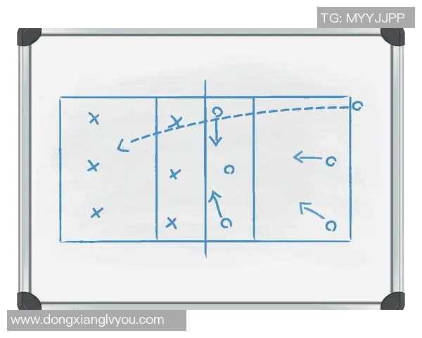 从零起步掌握排球战术全解析助你成为场上高手 从零起步掌握排球战术全解析助你成为场上高手